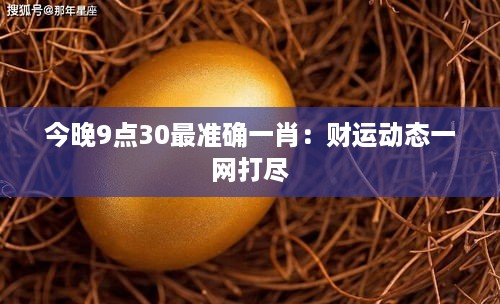 今晚9点30最准确一肖：财运动态一网打尽