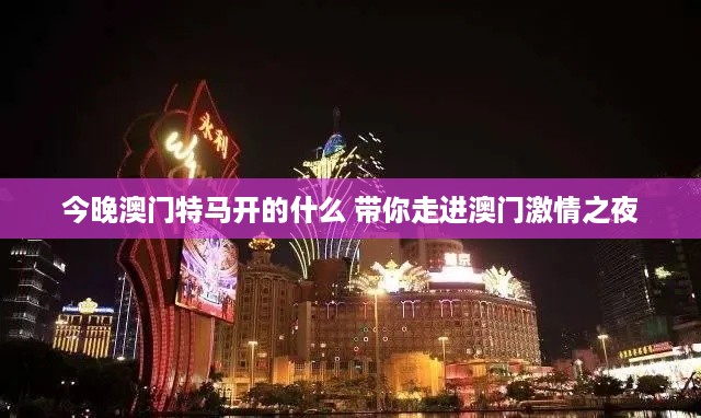 今晚澳门特马开的什么 带你走进澳门激情之夜