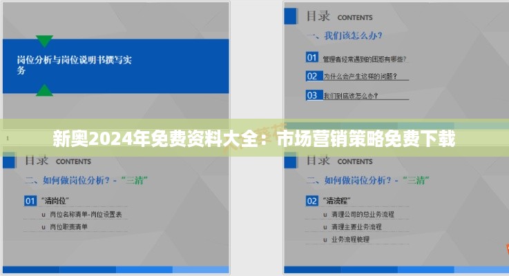 新奥2024年免费资料大全：市场营销策略免费下载