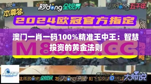 澳门一肖一码100%精准王中王：智慧投资的黄金法则