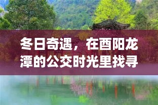 冬日奇遇，公交时光里的家之温暖——酉阳龙潭之旅