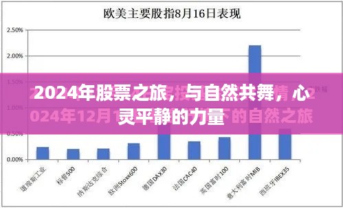 心灵的力量，与自然共舞，探索心灵平静的股票之旅（2024年）