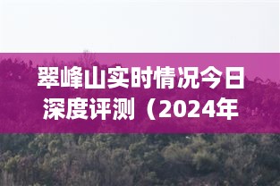 翠峰山今日深度评测报告（2024年12月27日实时更新）