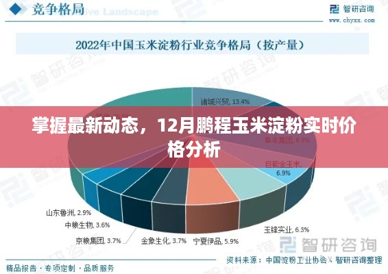 掌握最新动态，鹏程玉米淀粉实时价格分析（12月版）