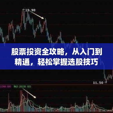 股票投资全攻略，从入门到精通，轻松掌握选股技巧