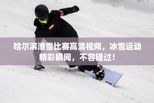 哈尔滨滑雪比赛高清视频，冰雪运动精彩瞬间，不容错过！