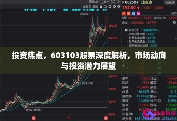 投资焦点，603103股票深度解析，市场动向与投资潜力展望