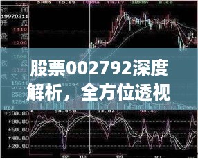 股票002792深度解析，全方位透视，洞悉投资先机