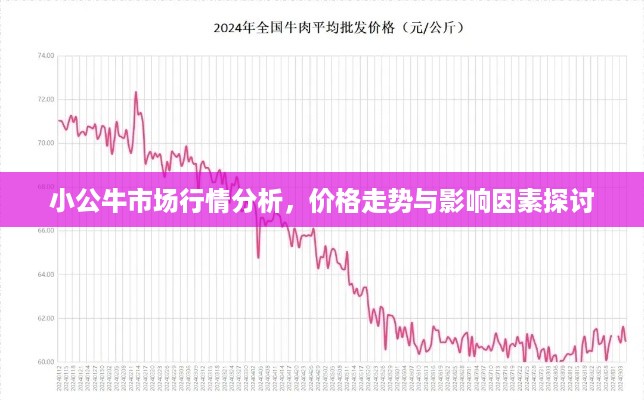 小公牛市场行情分析，价格走势与影响因素探讨