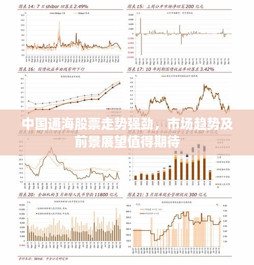 中国通海股票走势强劲，市场趋势及前景展望值得期待