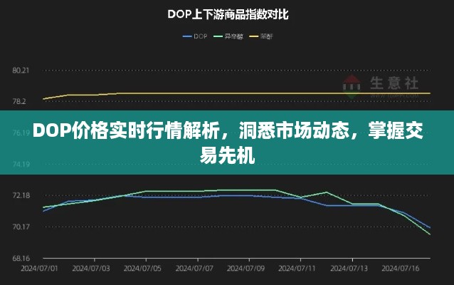 DOP价格实时行情解析，洞悉市场动态，掌握交易先机