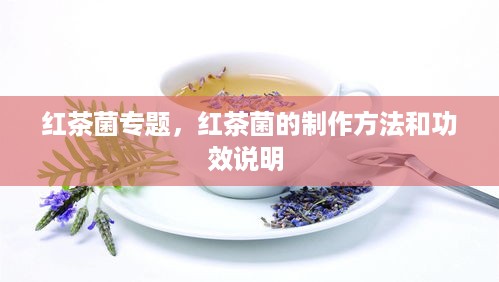 红茶菌专题，红茶菌的制作方法和功效说明 