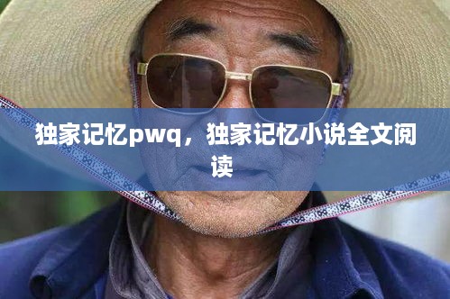 独家记忆pwq，独家记忆小说全文阅读 