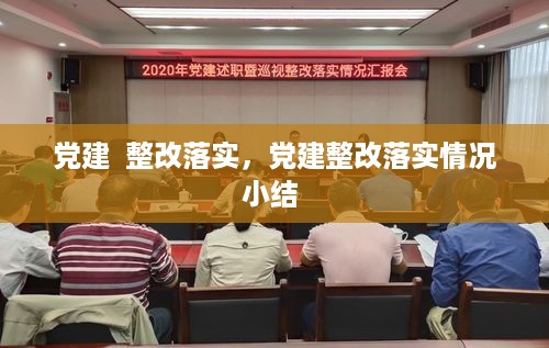 党建  整改落实，党建整改落实情况小结 