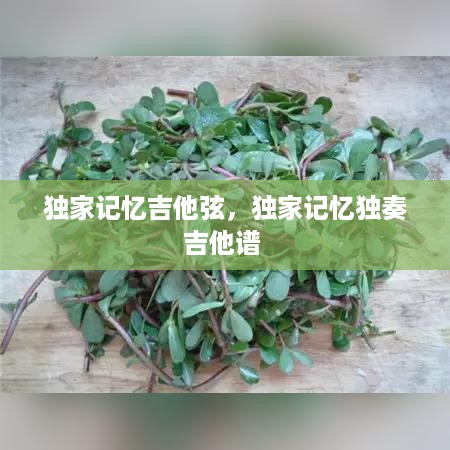 独家记忆吉他弦，独家记忆独奏吉他谱 