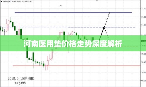 河南医用垫价格走势深度解析