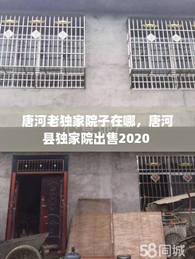 唐河老独家院子在哪，唐河县独家院出售2020 