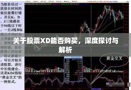 关于股票XD能否购买，深度探讨与解析