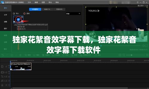 独家花絮音效字幕下载，独家花絮音效字幕下载软件 