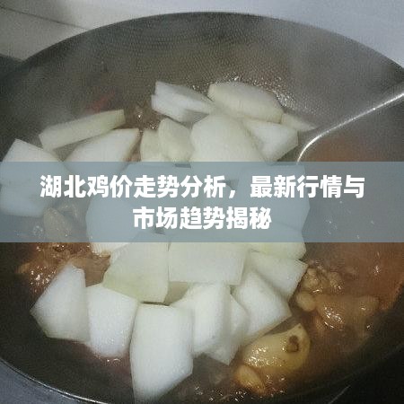 湖北鸡价走势分析，最新行情与市场趋势揭秘