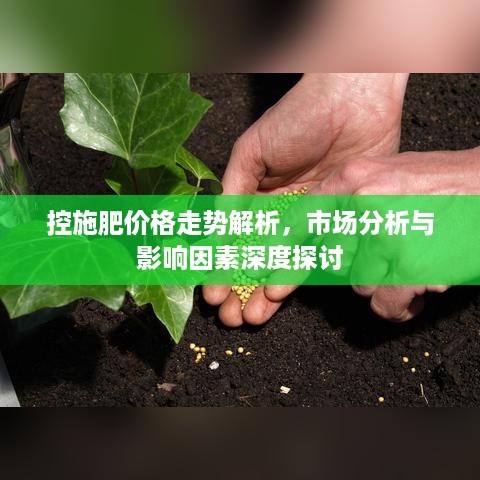 控施肥价格走势解析，市场分析与影响因素深度探讨