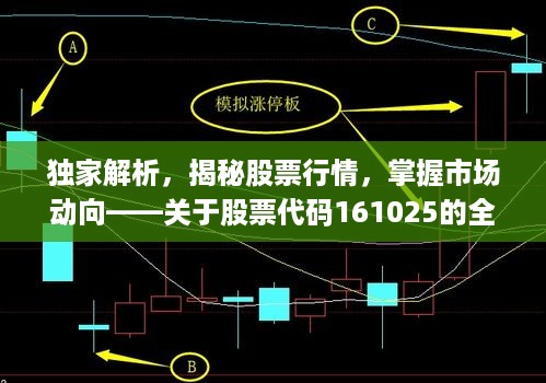 独家解析，揭秘股票行情，掌握市场动向——关于股票代码161025的全面解读