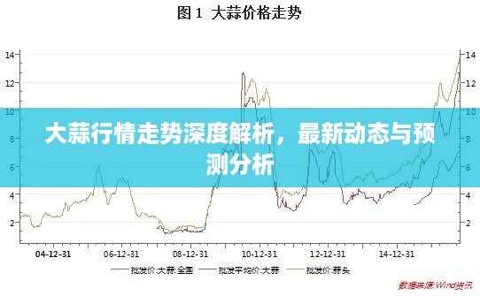 大蒜行情走势深度解析，最新动态与预测分析