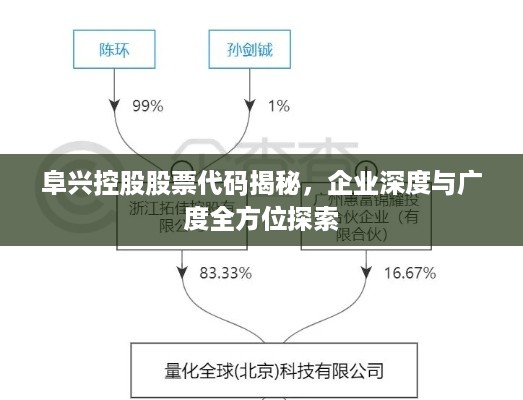 阜兴控股股票代码揭秘，企业深度与广度全方位探索