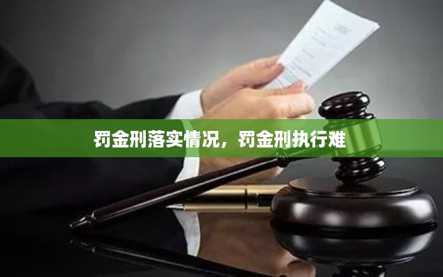 罚金刑落实情况，罚金刑执行难 