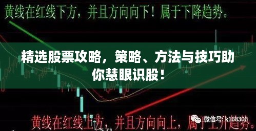 精选股票攻略，策略、方法与技巧助你慧眼识股！