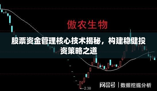 股票资金管理核心技术揭秘，构建稳健投资策略之道