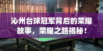 沁州台球冠军背后的荣耀故事，荣耀之路揭秘！