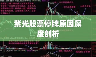 紫光股票停牌原因深度剖析