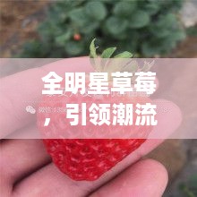 全明星草莓，引领潮流的绝美滋味