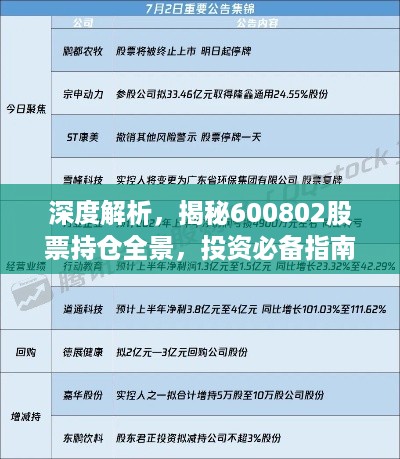 深度解析，揭秘600802股票持仓全景，投资必备指南！