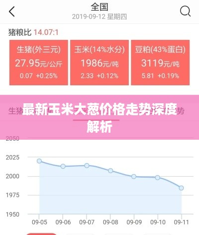 最新玉米大葱价格走势深度解析