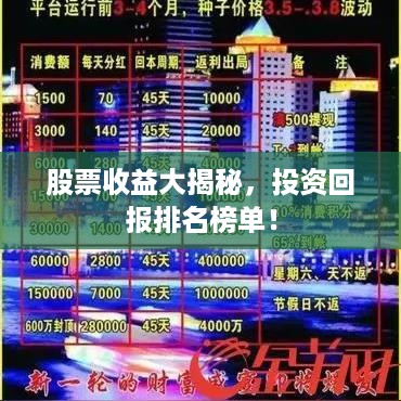 股票收益大揭秘，投资回报排名榜单！