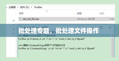 批处理专题，批处理文件操作 