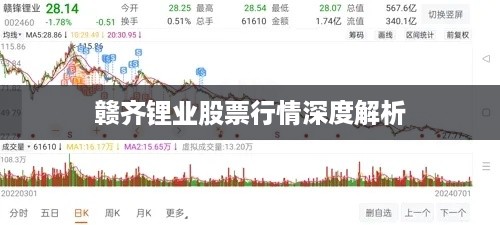 赣齐锂业股票行情深度解析