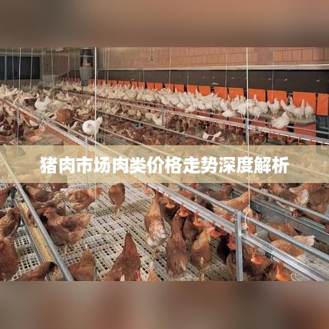 猪肉市场肉类价格走势深度解析