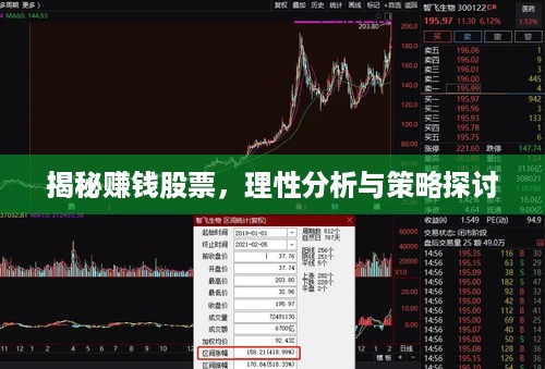 揭秘赚钱股票，理性分析与策略探讨