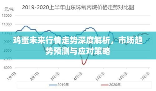 鸡蛋未来行情走势深度解析，市场趋势预测与应对策略