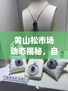 黄山松市场动态揭秘，自然之宝行情展望