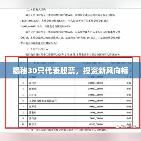 揭秘30只代表股票，投资新风向标