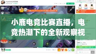 小鹿电竞比赛直播，电竞热潮下的全新观察视角