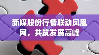 新媒股份行情联动凤凰网，共筑发展高峰