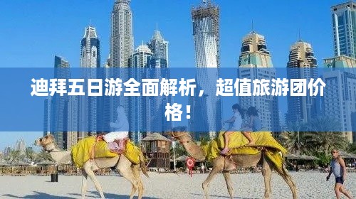 迪拜五日游全面解析，超值旅游团价格！