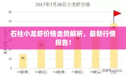 石柱小龙虾价格走势解析，最新行情报告！