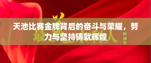 天池比赛金牌背后的奋斗与荣耀，努力与坚持铸就辉煌