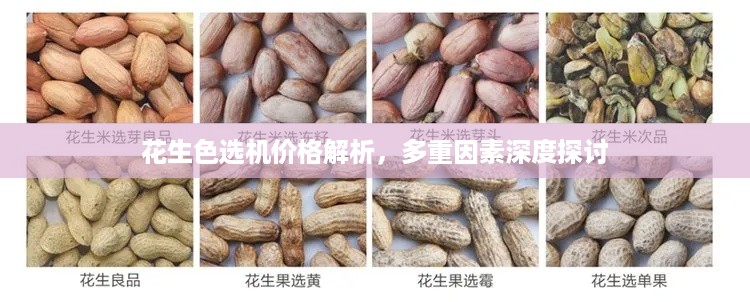 花生色选机价格解析，多重因素深度探讨